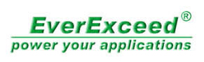 EverExceed Industrial Company Logo